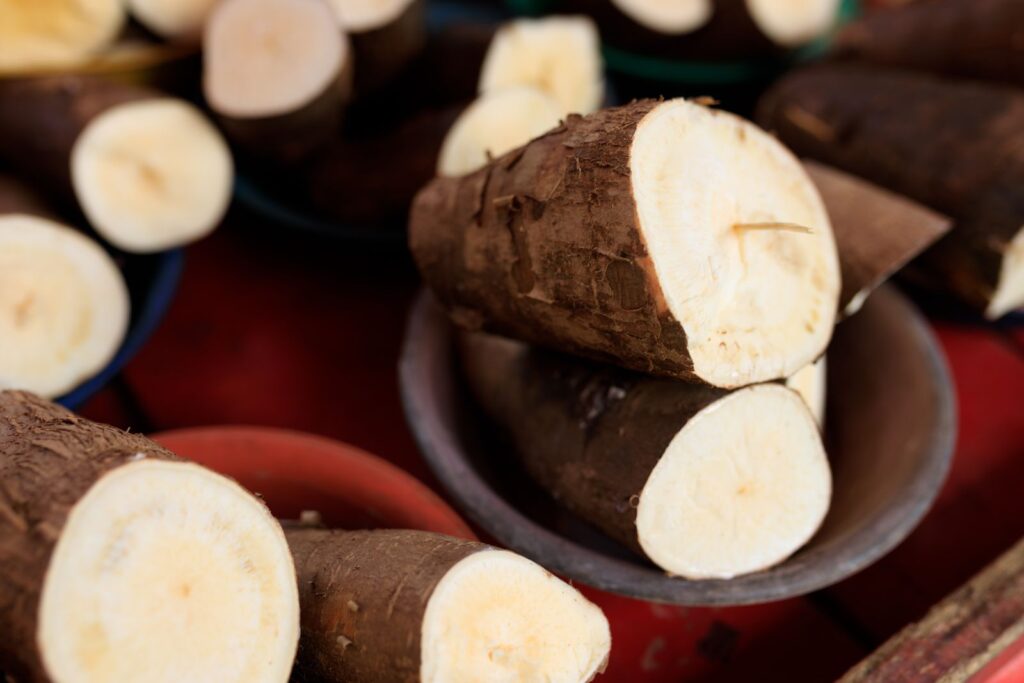 Cut cassava roots showing white flesh and brown bark, the plant that tapioca is made from and naturally gluten free
