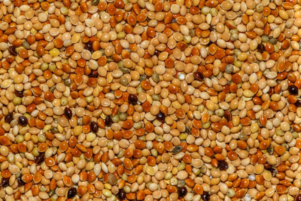 Close-up of tiny golden and amber grains filling the frame, illustrating small gluten-free seeds like amaranth.