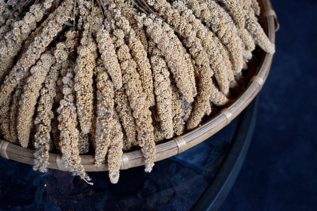 Dried millet panicles stacked in a woven basket, showing the whole grain heads of the naturally gluten-free cereal