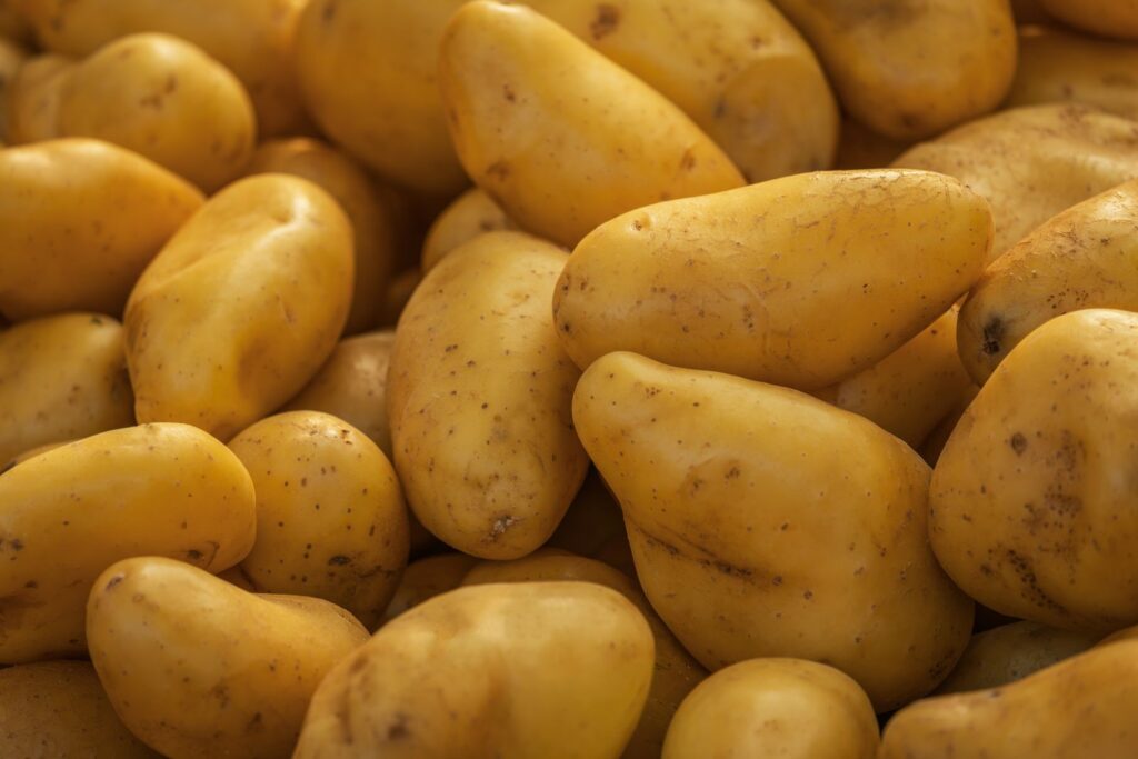 Close-up of smooth, golden-yellow raw potatoes, the naturally gluten-free source of potato starch.